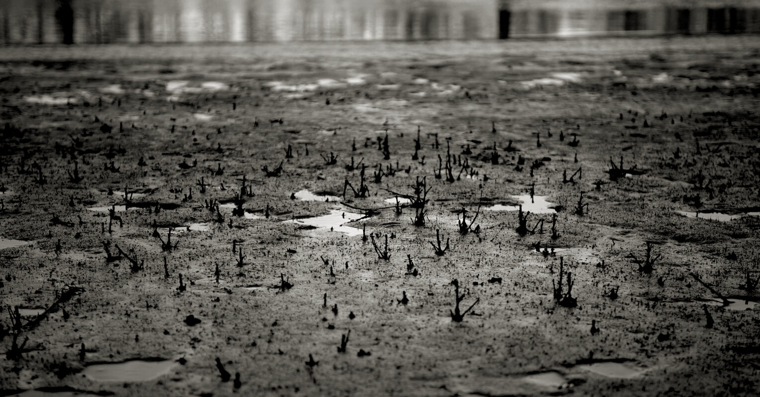 River walk 01