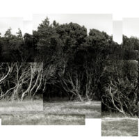 Hornby Arbutus merge