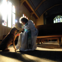 Blessing of the animals