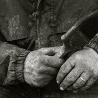 Blue Tree Hands