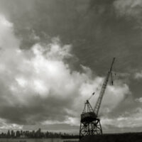 Crane
