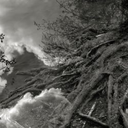 LayeredLandscapes