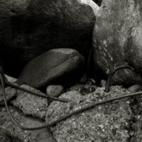Headwater Dam rebar 1