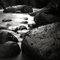 Lynn Canyon Panorama 07