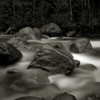 Lynn Canyon Panoramas 09
