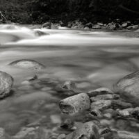 Lynn Canyon Panoramas13