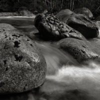 Lynn Canyon Panoramas 12