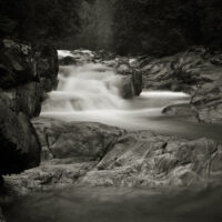Lynn Canyon Panoramas 15