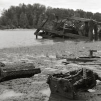 River Roots16