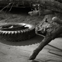 River Roots17