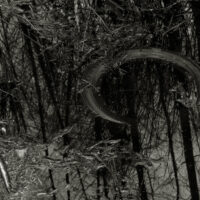 Tire in water