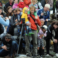 Seal release