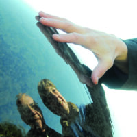 West Van Public art